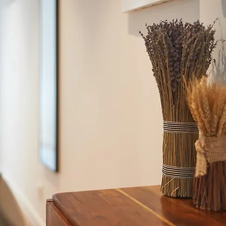 Apartamento Borealis - Bairro Alto *